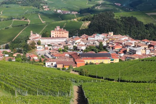 Vineyards on the hills of Barolo village in Piedmont province in Italy