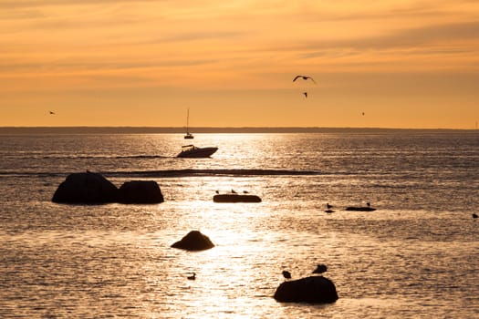 sailing boat sunset at sea