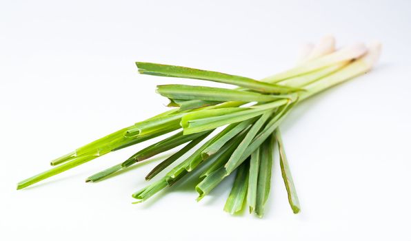 Lemon Grass. Fresh Lemon Grass on background