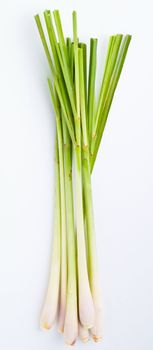 Lemon Grass. Fresh Lemon Grass on background