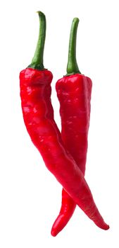 Chili. Red hot chili pepper