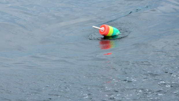 A colorful lobster bouy marking a trap below the water