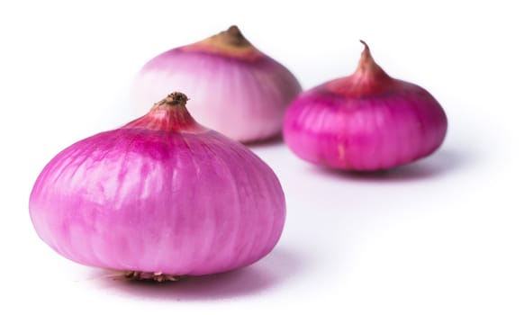 Onion. red onion on the background