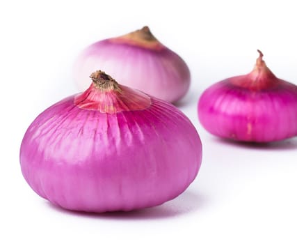 Onion. red onion on the background