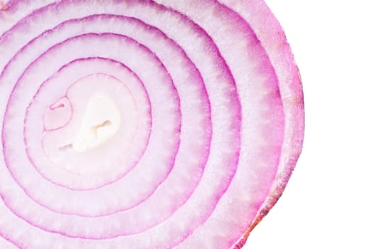 Onion. red onion on the background
