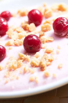 berry crumble cream dessert close up