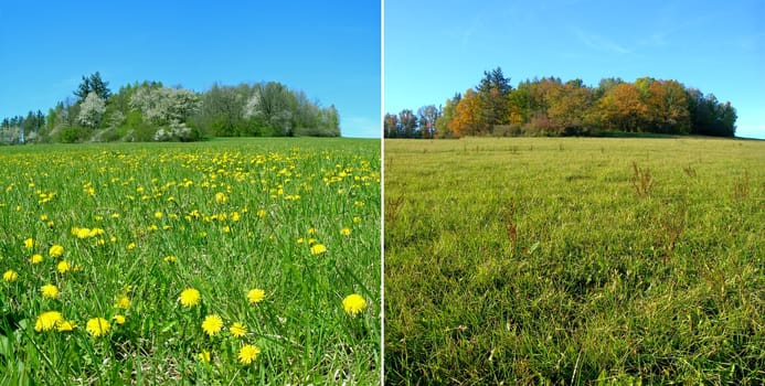 One meadow during the spring and fall seasons