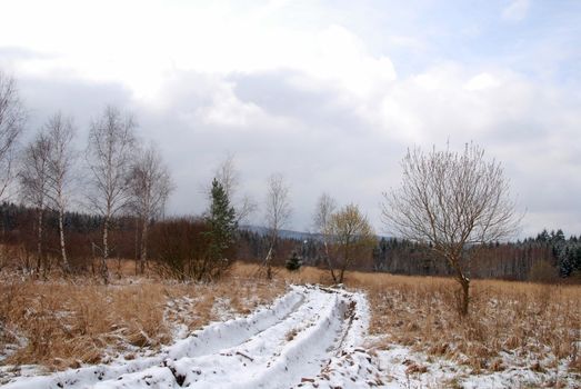 Beautiful winter landscape with trees covered by snow and frost