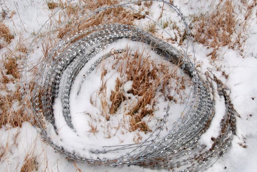 Security barbed wire lying in the grass is covered by snow