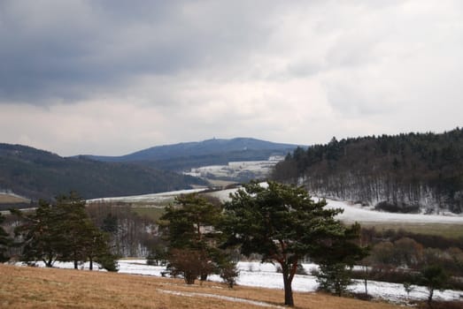 Beautiful winter landscape with trees covered by snow and frost