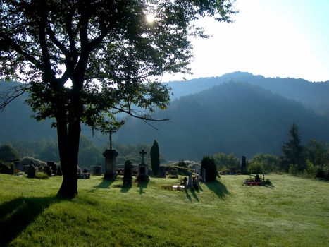           Small peaceful cemetery below the great oak in the morning