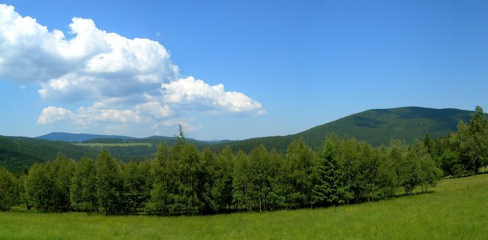 Nice landscape with forest,  hills and meadows