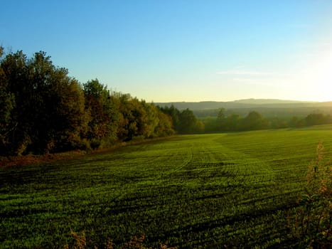        Early spring field with green grass and blue sky at sunset