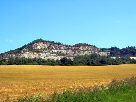           Golden wheat field and mountain