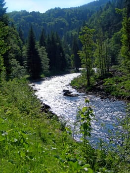           Mountain river against the sun with meadow