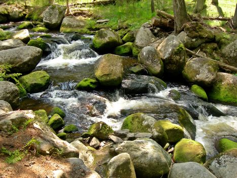                 Hidden mountain brook with stones    