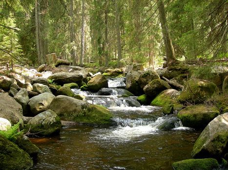       Hidden mountain brook with stones    