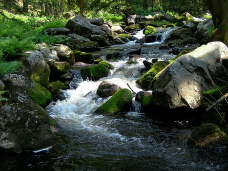           Cold and crystal clear wild brook full of boulders in the mountains