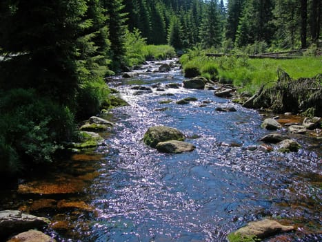                  Cold and crystal clear wild brook full of boulders in the mountains   