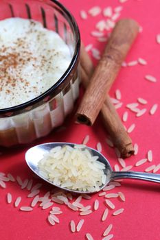 rice pudding with cinnamon