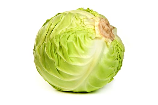 Green cabbage isolated on a white background.