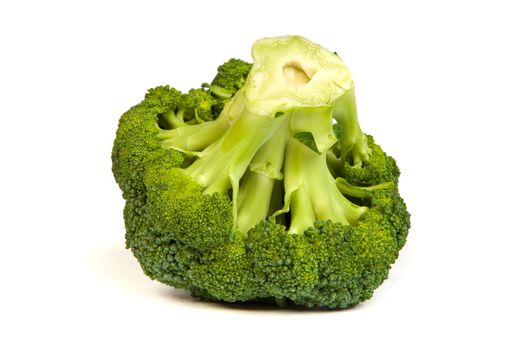 Single broccoli floret isolated on white background with soft drop shadow.