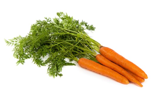 Bunch of fresh carrot isolated on a white background