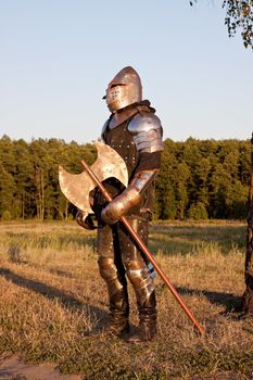 Medieval knight in the field with an axe