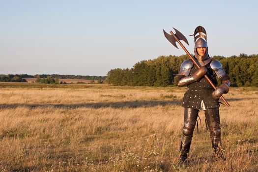 Medieval knight in the field with an axe