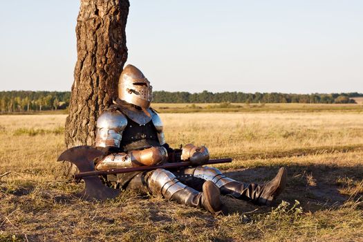 Medieval knight in the field with an axe