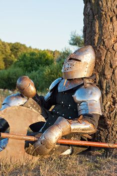 Medieval knight in the field with an axe