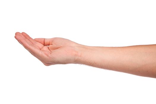 Open palm hand gesture of male hand. Isolated on a white background.