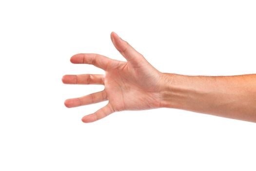 Hand gesture of male isolated on a white background