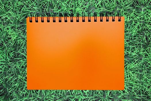 blank orange ring binding on green grass