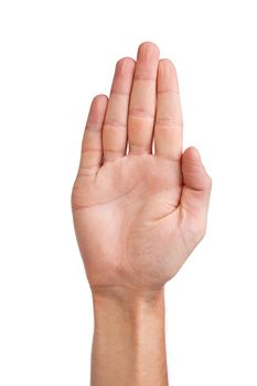 Male palm hand gesture, isolated on a white background