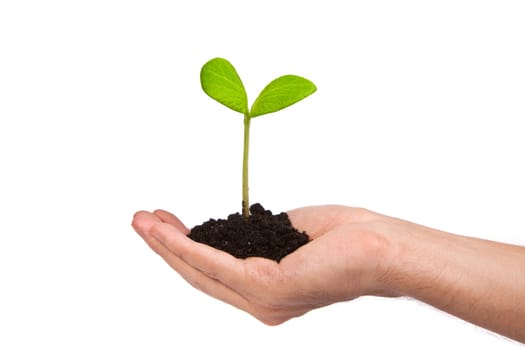 Male hand hold a small sprout and an earth handful isolated on a white background