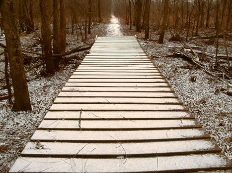 Light snow over a wooden boardwalk on an Illinois hiking trail.