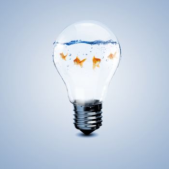 Gold fish in water inside an electric light bulb