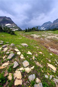 Beautiful alpine scenery at Logan Pass of Glacier National Park.