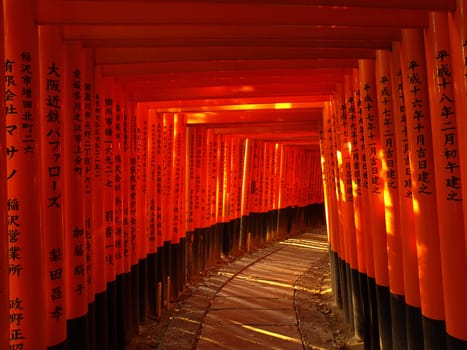 Pathway under the torii gate at Fushimi Inari Shrine in Kyoto, Japan