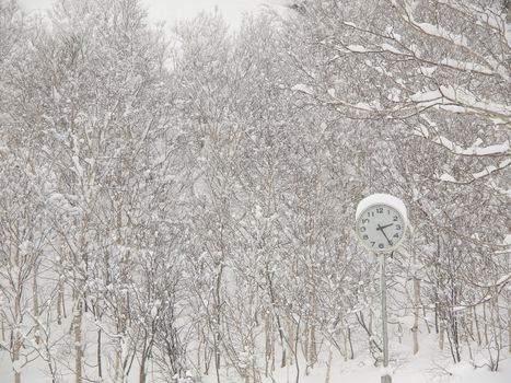 Winter season of the clock in Japan park