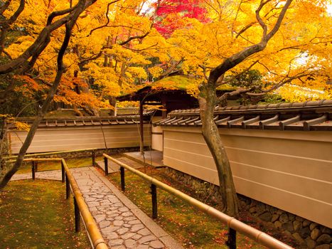 Autumn season in late november at the entrance of Kotoin Temple in Kyoto, Japan