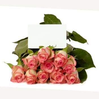 Bouquet of rose flowers with a blank gift card, isolated on white background. Write your own tekst.