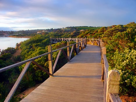 Boardwalk through vegetation along the coastline in Warrnambool Australia.