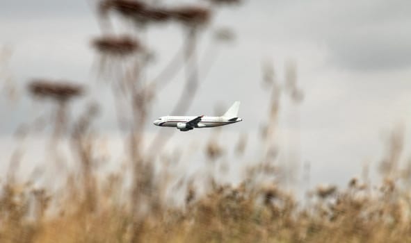 Airbus 320 passenger plane was landing side view