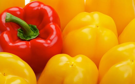 Background of One Red and Some Yellow Bell Peppers close up  top view 