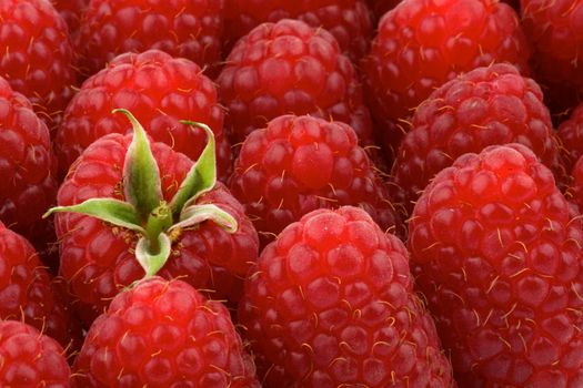 Background of Perfect Ripe Raspberries close up