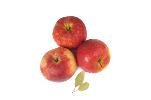 Fresh red apple on white background