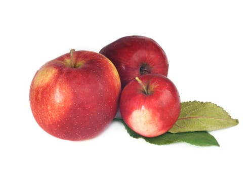 Fresh red apple on white background