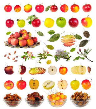 Twenty grades of apples on a white background